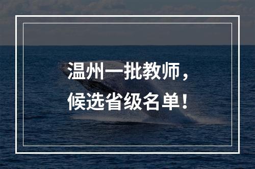 温州一批教师，候选省级名单！