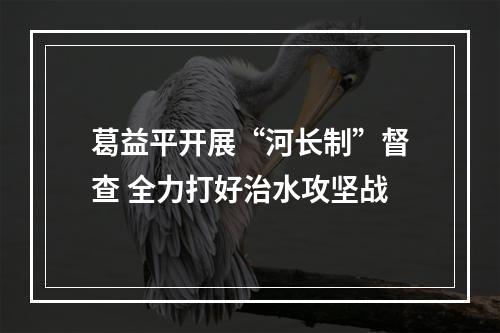 葛益平开展“河长制”督查 全力打好治水攻坚战