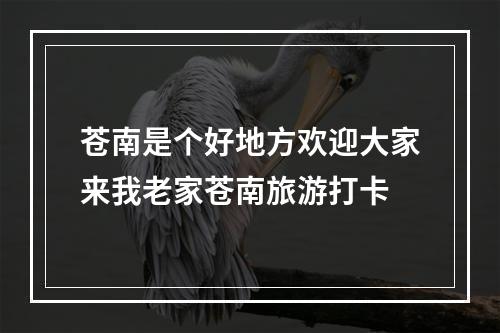 苍南是个好地方欢迎大家来我老家苍南旅游打卡