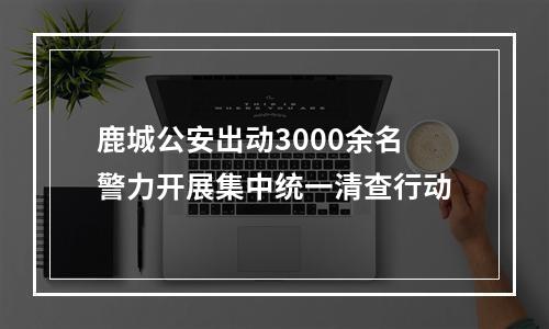 鹿城公安出动3000余名警力开展集中统一清查行动