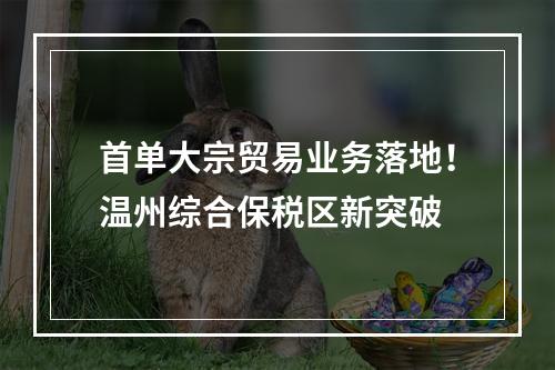 首单大宗贸易业务落地！温州综合保税区新突破