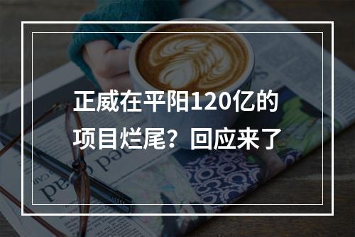 正威在平阳120亿的项目烂尾？回应来了
