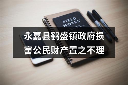 永嘉县鹤盛镇政府损害公民财产置之不理