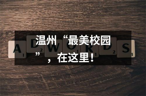 温州“最美校园”，在这里！