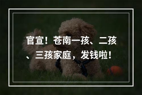 官宣！苍南一孩、二孩、三孩家庭，发钱啦！