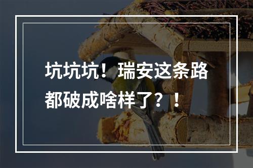 坑坑坑！瑞安这条路都破成啥样了？！