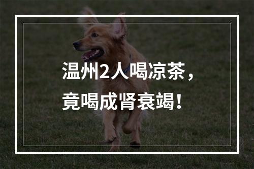 温州2人喝凉茶，竟喝成肾衰竭！