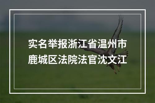 实名举报浙江省温州市鹿城区法院法官沈文江