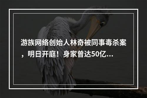 游族网络创始人林奇被同事毒杀案，明日开庭！身家曾达50亿，登上过福布斯