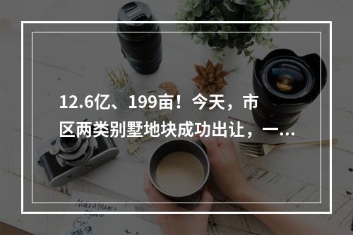 12.6亿、199亩！今天，市区两类别墅地块成功出让，一宗楼面价创新高!