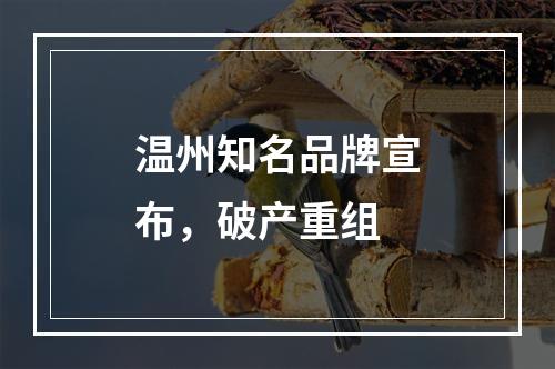 温州知名品牌宣布，破产重组