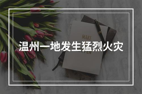 温州一地发生猛烈火灾