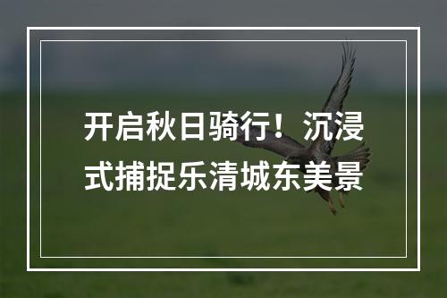 开启秋日骑行！沉浸式捕捉乐清城东美景