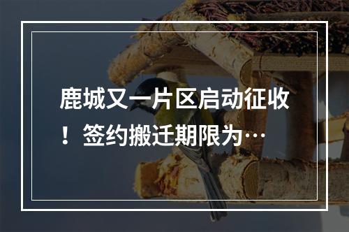 鹿城又一片区启动征收！签约搬迁期限为…