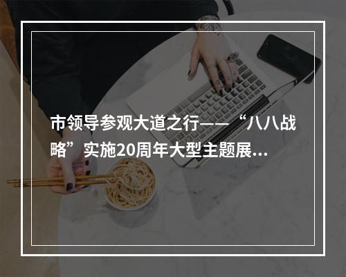 市领导参观大道之行——“八八战略”实施20周年大型主题展览
