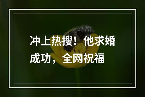 冲上热搜！他求婚成功，全网祝福