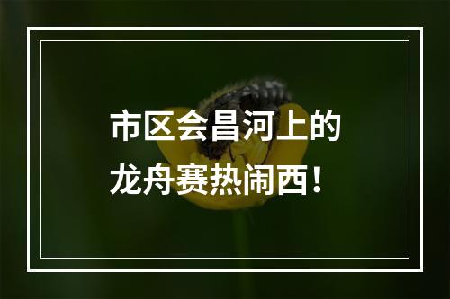 市区会昌河上的龙舟赛热闹西！