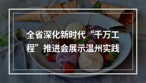 全省深化新时代“千万工程”推进会展示温州实践