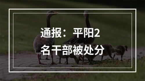 通报：平阳2名干部被处分