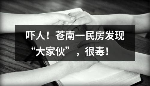 吓人！苍南一民房发现“大家伙”，很毒！