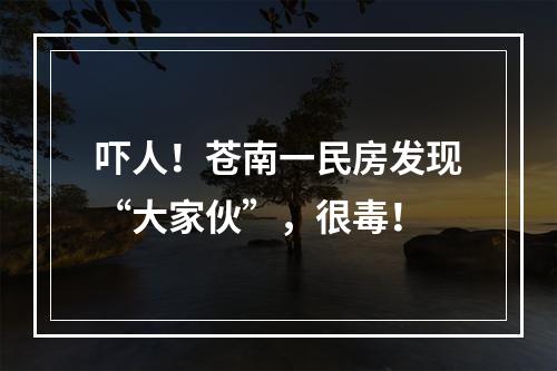 吓人！苍南一民房发现“大家伙”，很毒！