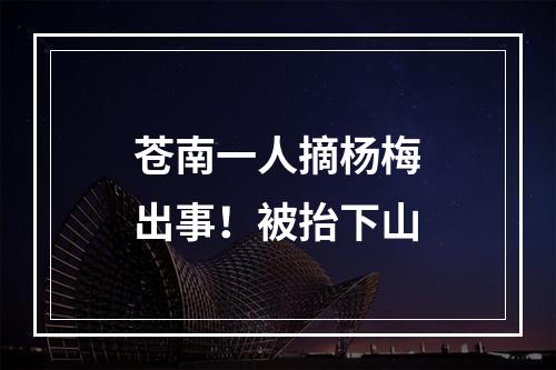 苍南一人摘杨梅出事！被抬下山