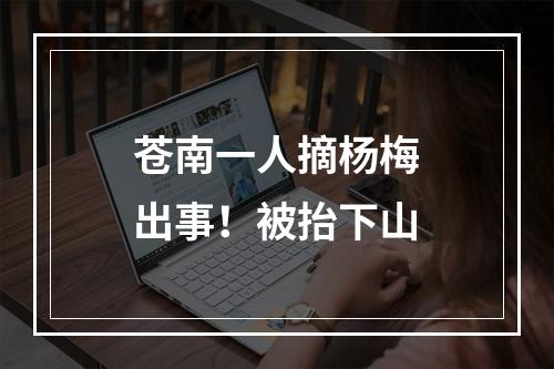 苍南一人摘杨梅出事！被抬下山