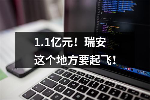 1.1亿元！瑞安这个地方要起飞！