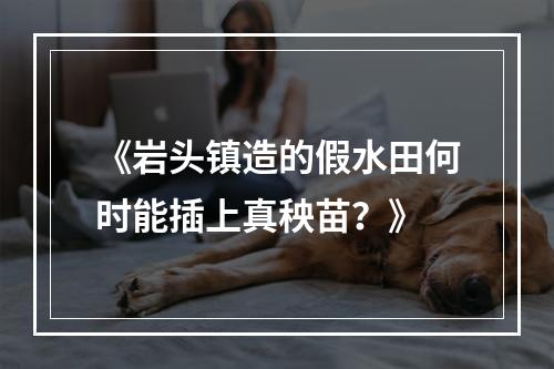 《岩头镇造的假水田何时能插上真秧苗？》