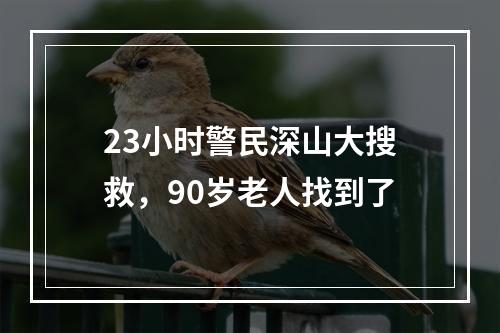 23小时警民深山大搜救，90岁老人找到了