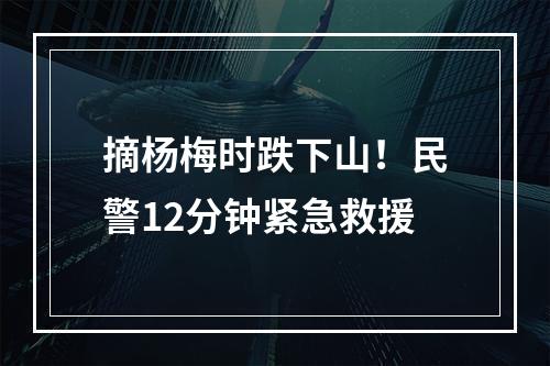 摘杨梅时跌下山！民警12分钟紧急救援