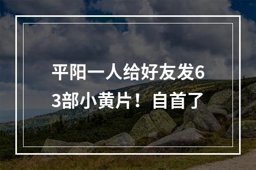 平阳一人给好友发63部小黄片！自首了