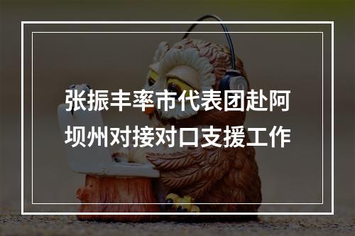 张振丰率市代表团赴阿坝州对接对口支援工作