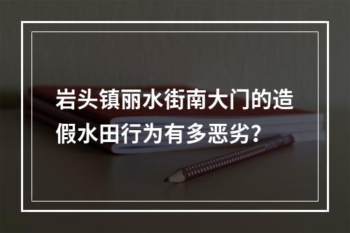 岩头镇丽水街南大门的造假水田行为有多恶劣？