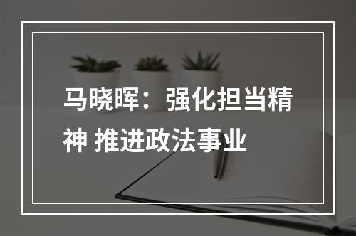 马晓晖：强化担当精神 推进政法事业