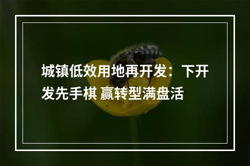 城镇低效用地再开发：下开发先手棋 赢转型满盘活