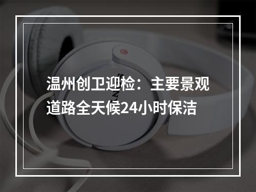 温州创卫迎检：主要景观道路全天候24小时保洁