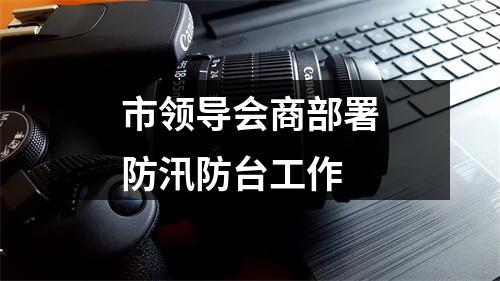 市领导会商部署防汛防台工作