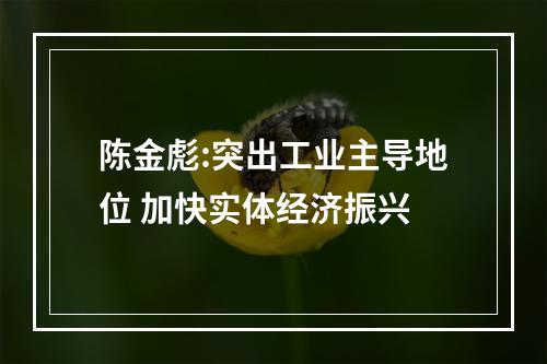 陈金彪:突出工业主导地位 加快实体经济振兴