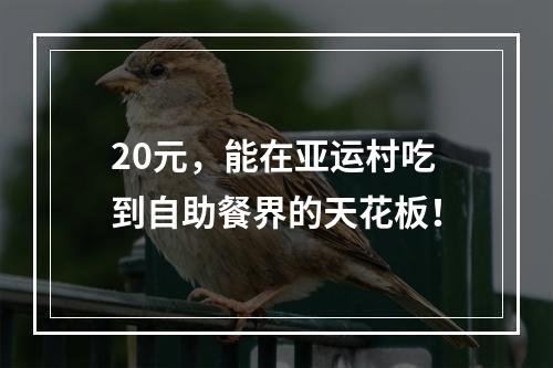 20元，能在亚运村吃到自助餐界的天花板！