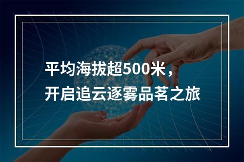 平均海拔超500米，开启追云逐雾品茗之旅