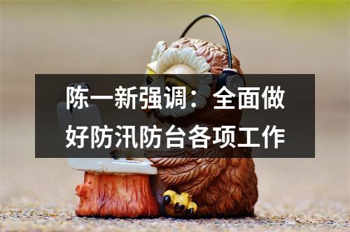 陈一新强调：全面做好防汛防台各项工作