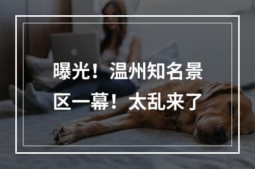 曝光！温州知名景区一幕！太乱来了