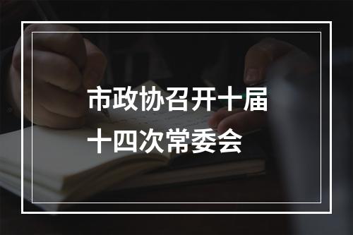 市政协召开十届十四次常委会