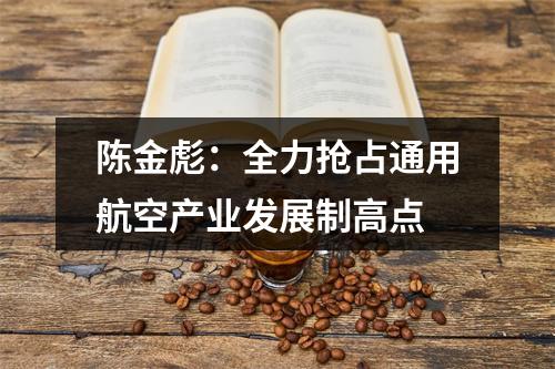陈金彪：全力抢占通用航空产业发展制高点