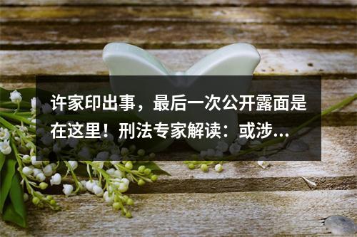 许家印出事，最后一次公开露面是在这里！刑法专家解读：或涉嫌多项罪名！