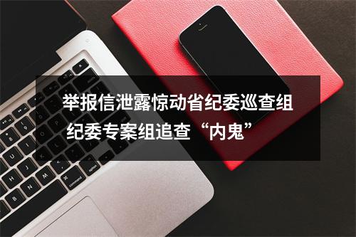 举报信泄露惊动省纪委巡查组 纪委专案组追查“内鬼”