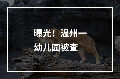 曝光！温州一幼儿园被查