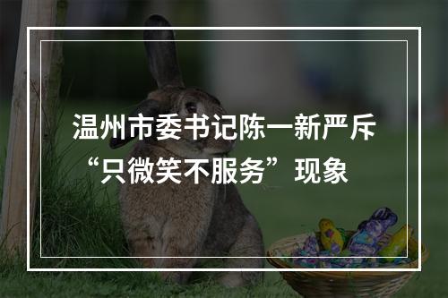 温州市委书记陈一新严斥“只微笑不服务”现象