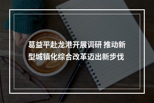 葛益平赴龙港开展调研 推动新型城镇化综合改革迈出新步伐